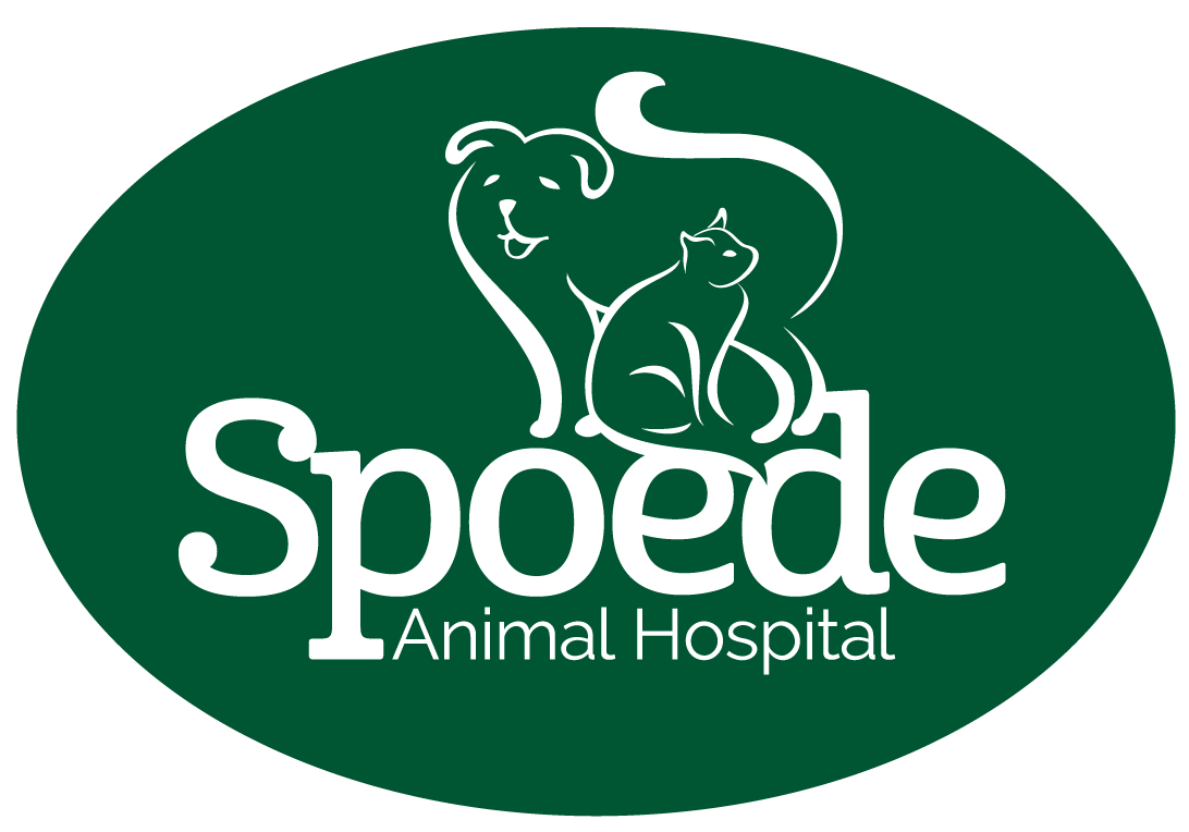 Spoede Animal Hospital